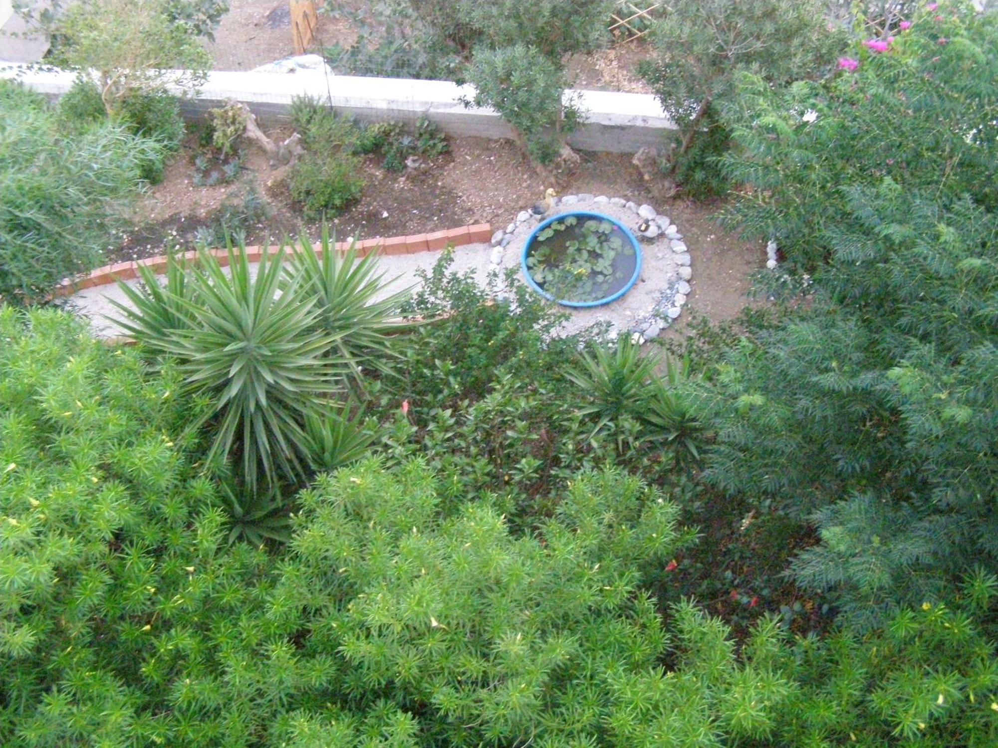 Studios Aeolos Kalymnos Myrties Buitenkant foto